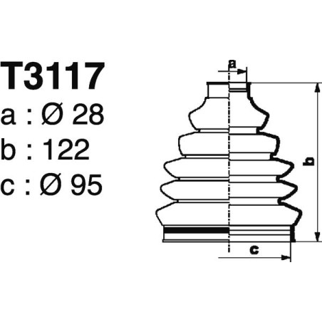 T3117.jpg
