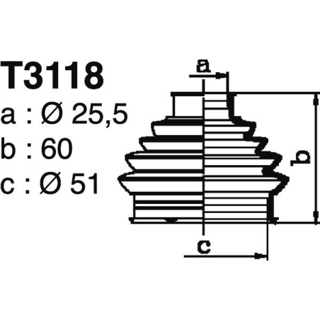 T3118.jpg