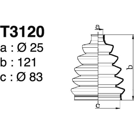 T3120.jpg