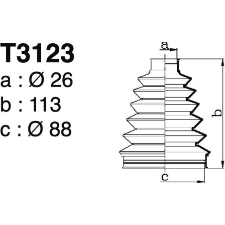 T3123.jpg