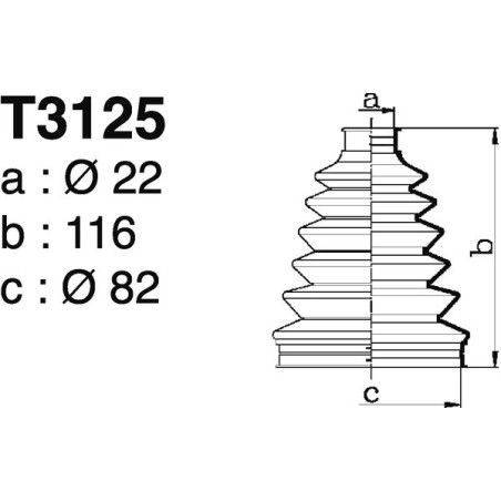 T3125.jpg
