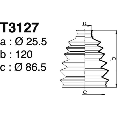 T3127.jpg