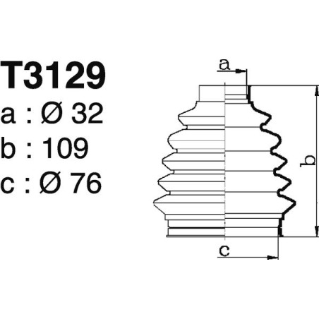 T3129.jpg