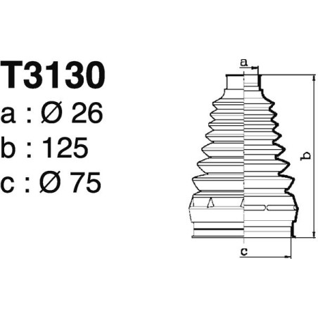 T3130.jpg