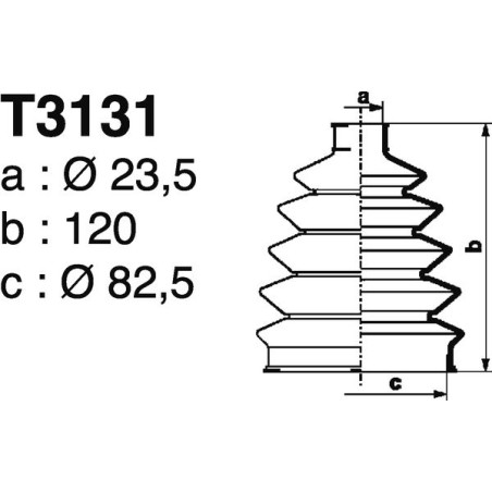 T3131.jpg