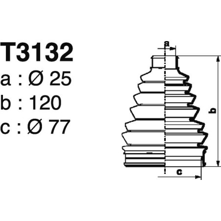 T3132.jpg
