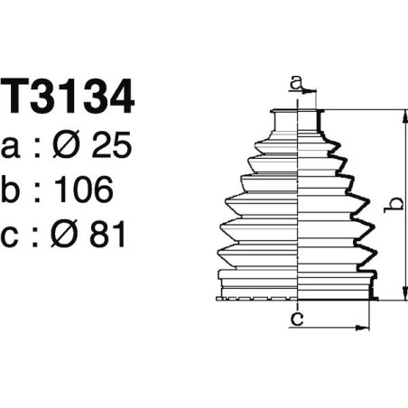 T3134.jpg