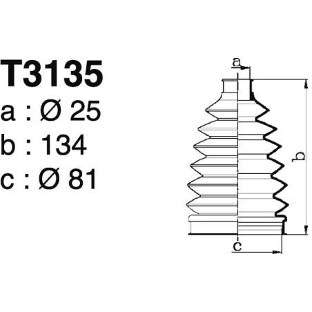 T3135.jpg
