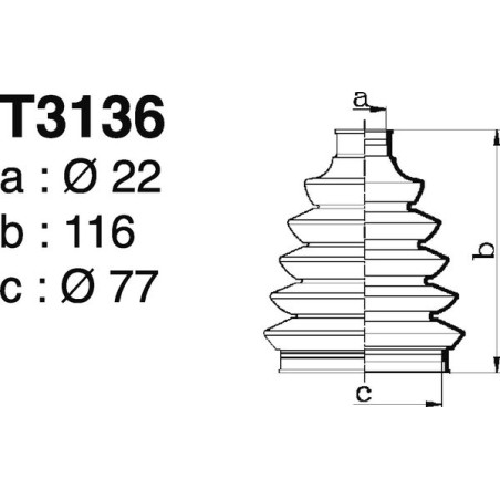 T3136.jpg