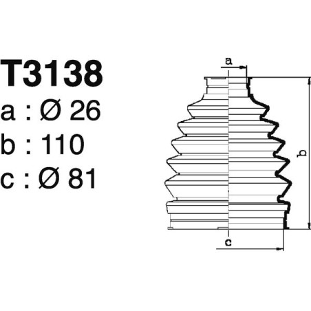 T3138.jpg