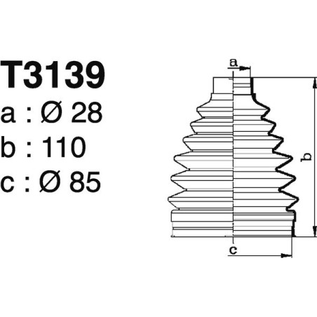 T3139.jpg