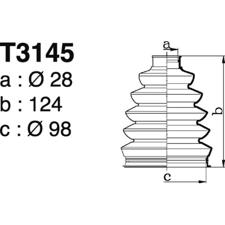 T3145.jpg