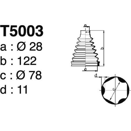 T5003.jpg