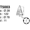 T5003.jpg