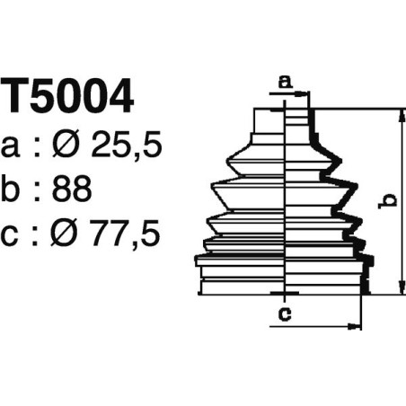 T5004.jpg