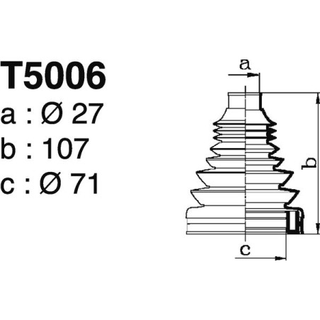T5006.jpg T5006.jpg