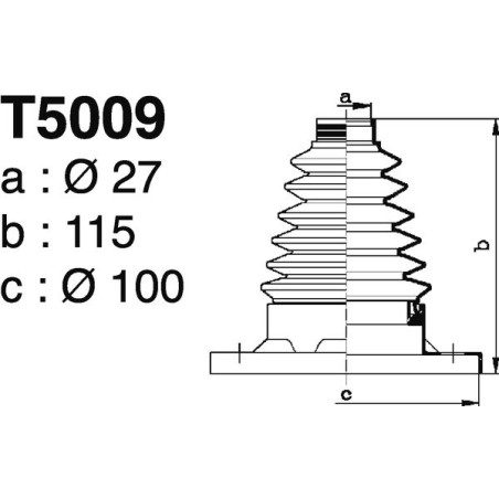T5009.jpg T5009.jpg