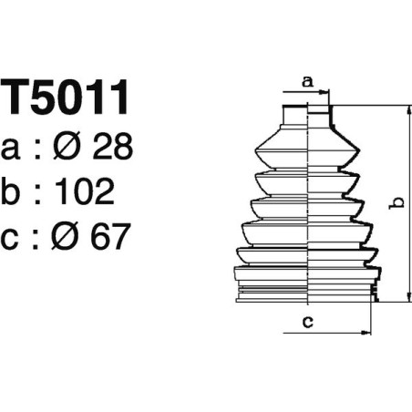 T5011.jpg T5011.jpg