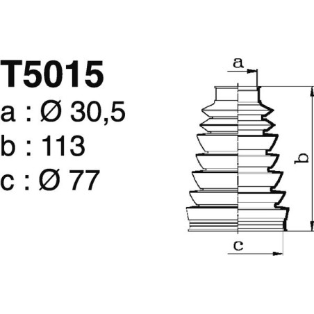 T5015.jpg