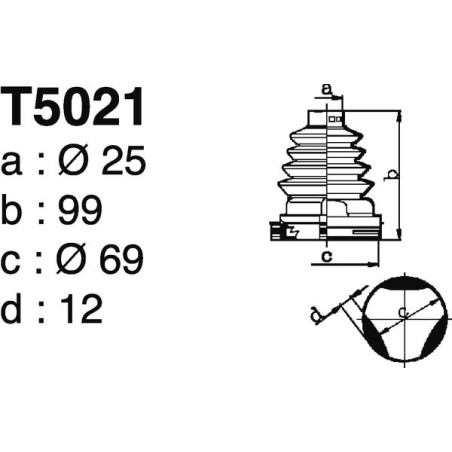 T5021.jpg