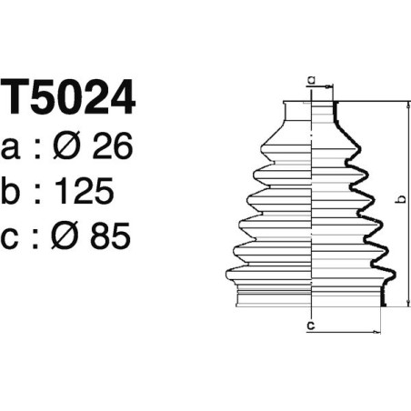 T5024.jpg
