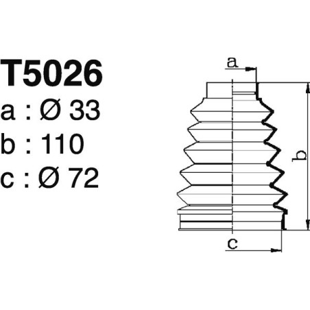 T5026.jpg T5026.jpg