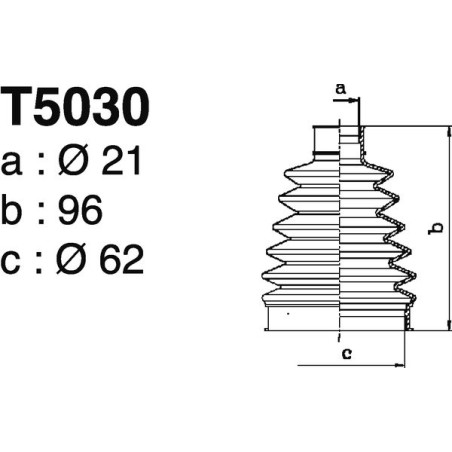 T5030.jpg