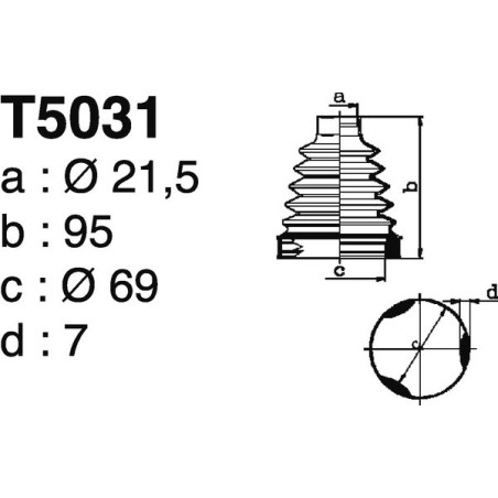 T5031.jpg