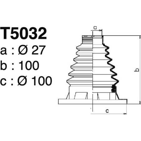 T5032.jpg