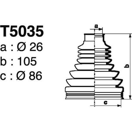 T5035.jpg