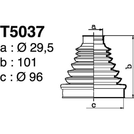 T5037.jpg