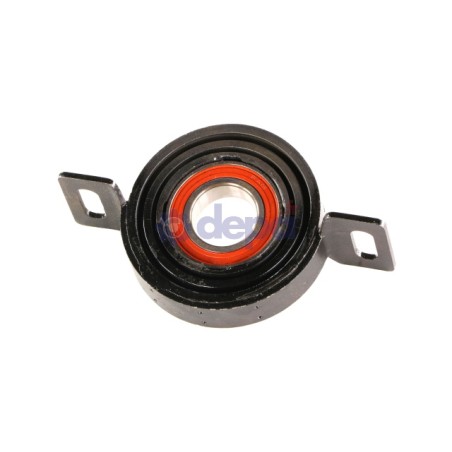 PAL103_1_p.jpg