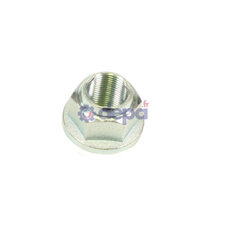 EC019_1_p.jpg