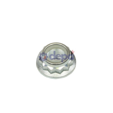 EC031_1_p.jpg