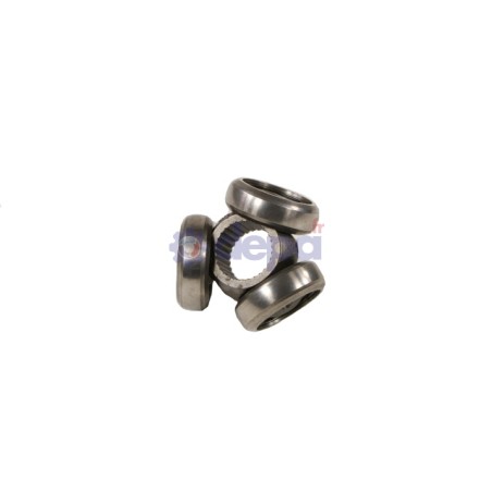 TRIW35_1_p.jpg