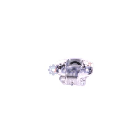ET79153_1_p.jpg