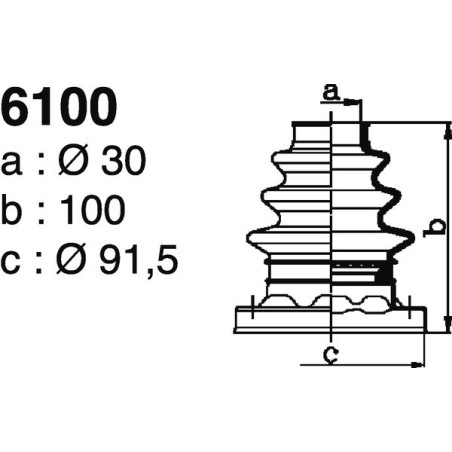 6100.jpg 6100.jpg