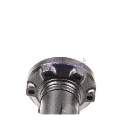 R4350000-A_1.jpg