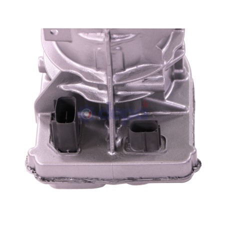 PAE2404_A_1.jpg