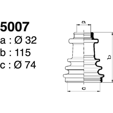 5007.jpg