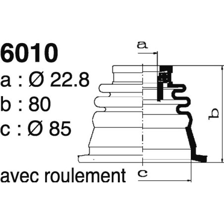 6010.jpg