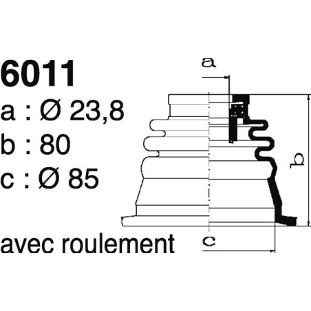 6011.jpg
