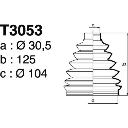T3053.jpg