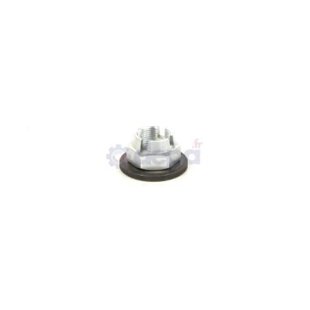 EC011_1.jpg