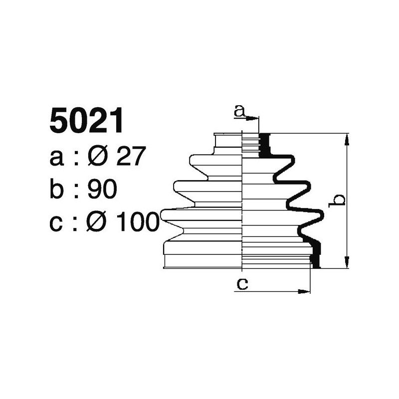 5021.jpg