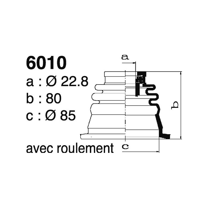 6010.jpg