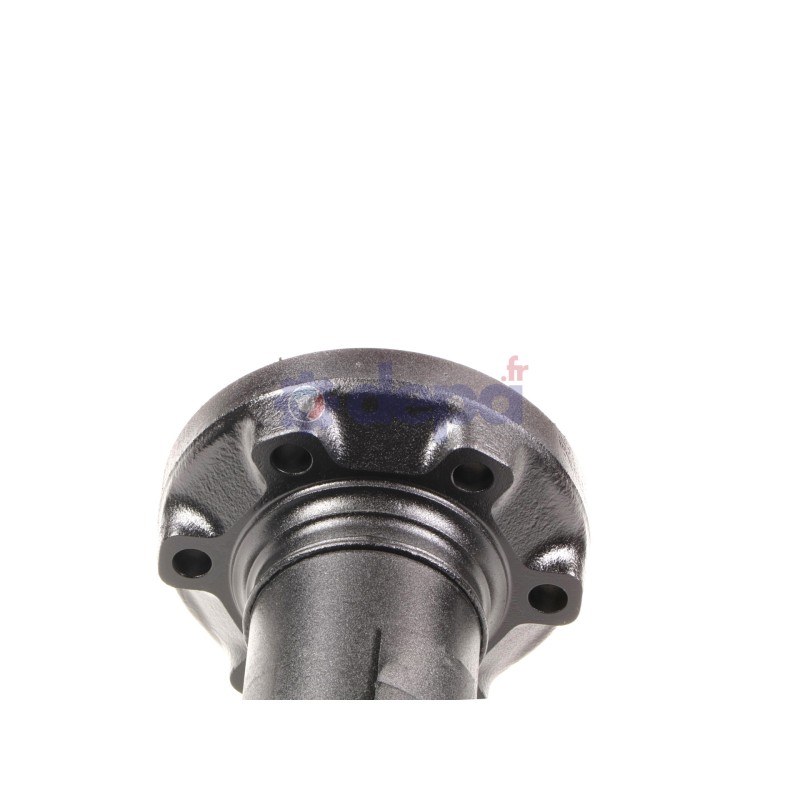 R4350000-A_1.jpg