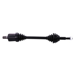 3750575.jpg