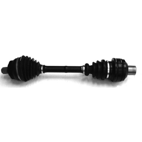 274.jpg