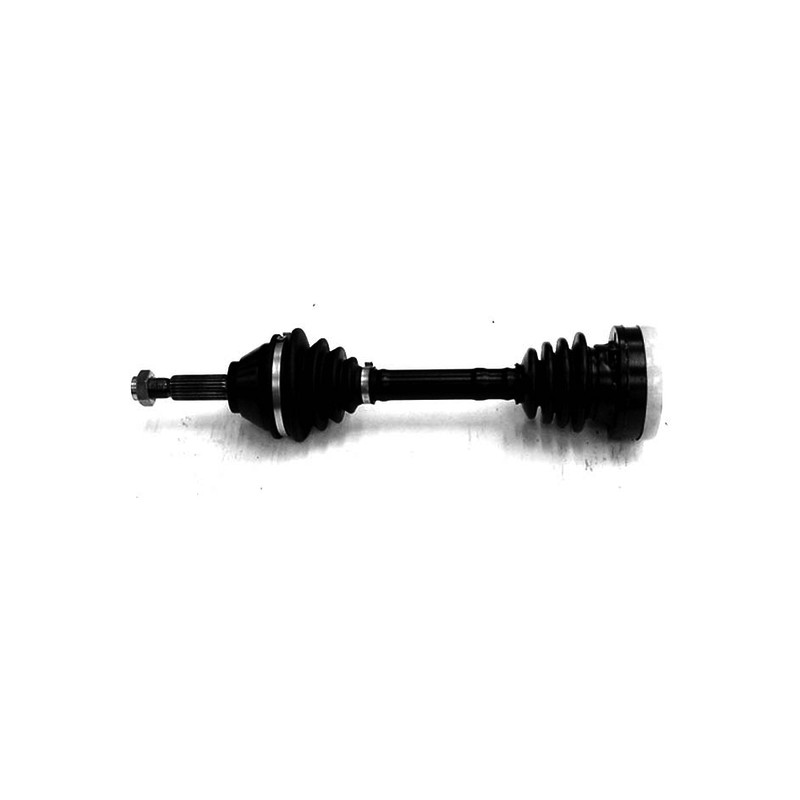 204.jpg